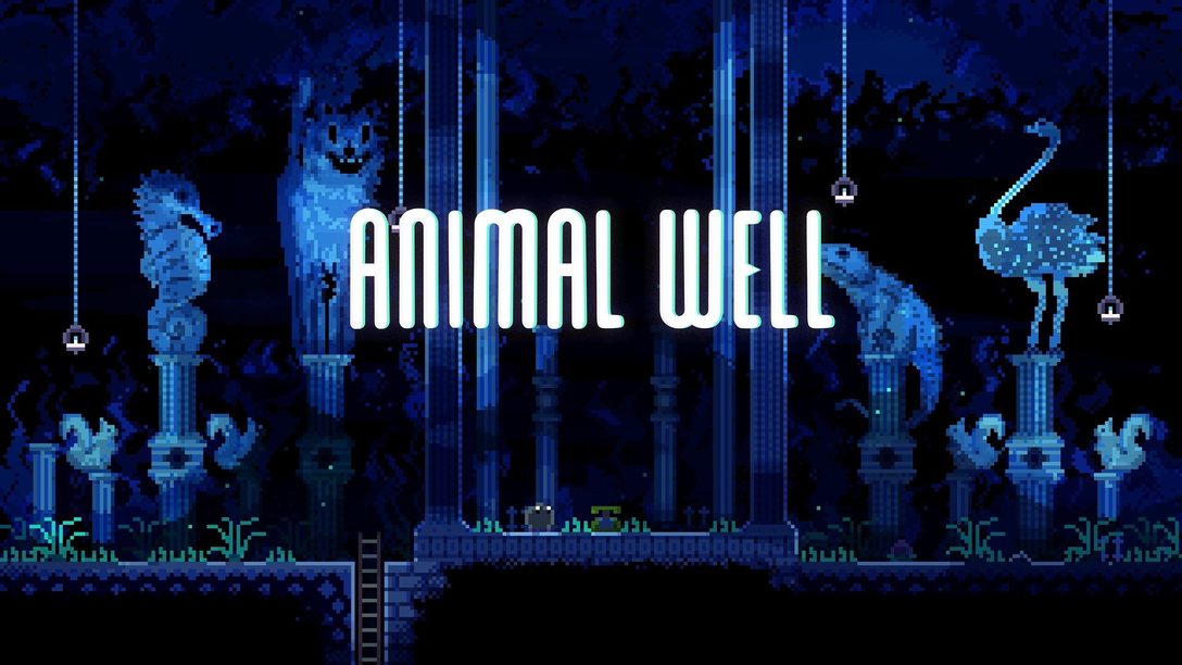 PS5로 출시되는 Animal Well의 비밀